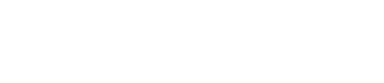 Bloomreach Logo
