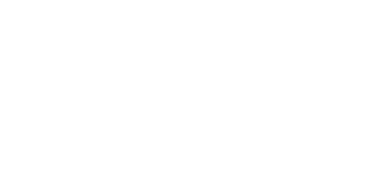 Lace Logo