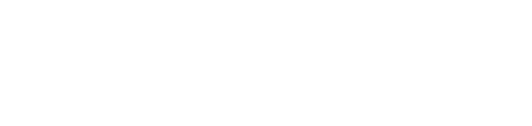 Payoneer Logo