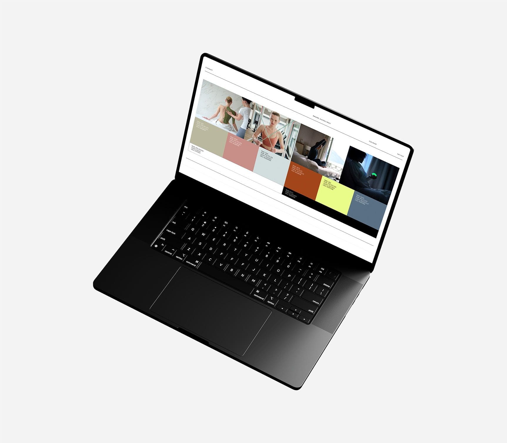 Chenot graphic guidelines in laptop